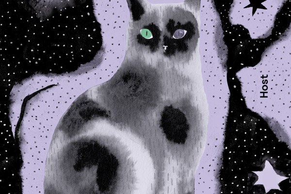 Ukolébavka pro Medu